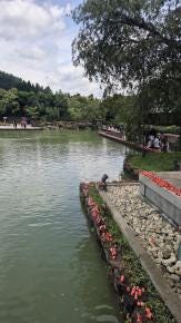 Foto 1 de 1
