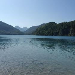 Foto 1 de 5