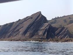Foto 1 de 1