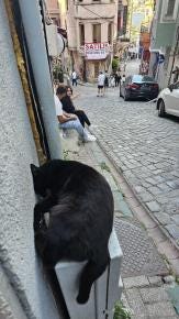 Foto {1} di {2}