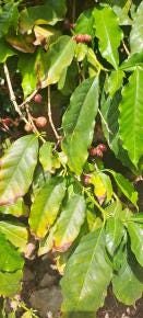 Foto 2 de 3