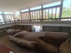 Foto 5 de 7
