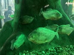 Foto 3 de 6