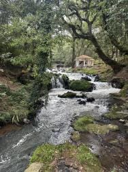 Foto 5 de 6