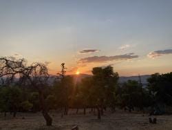Foto 1 de 1