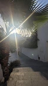 Foto 1 de 1