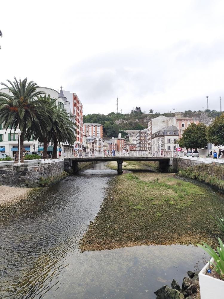 Foto 4 de 8