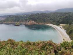 Foto 8 de 8