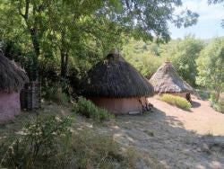 Foto 1 de 2