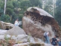 Foto 4 de 5
