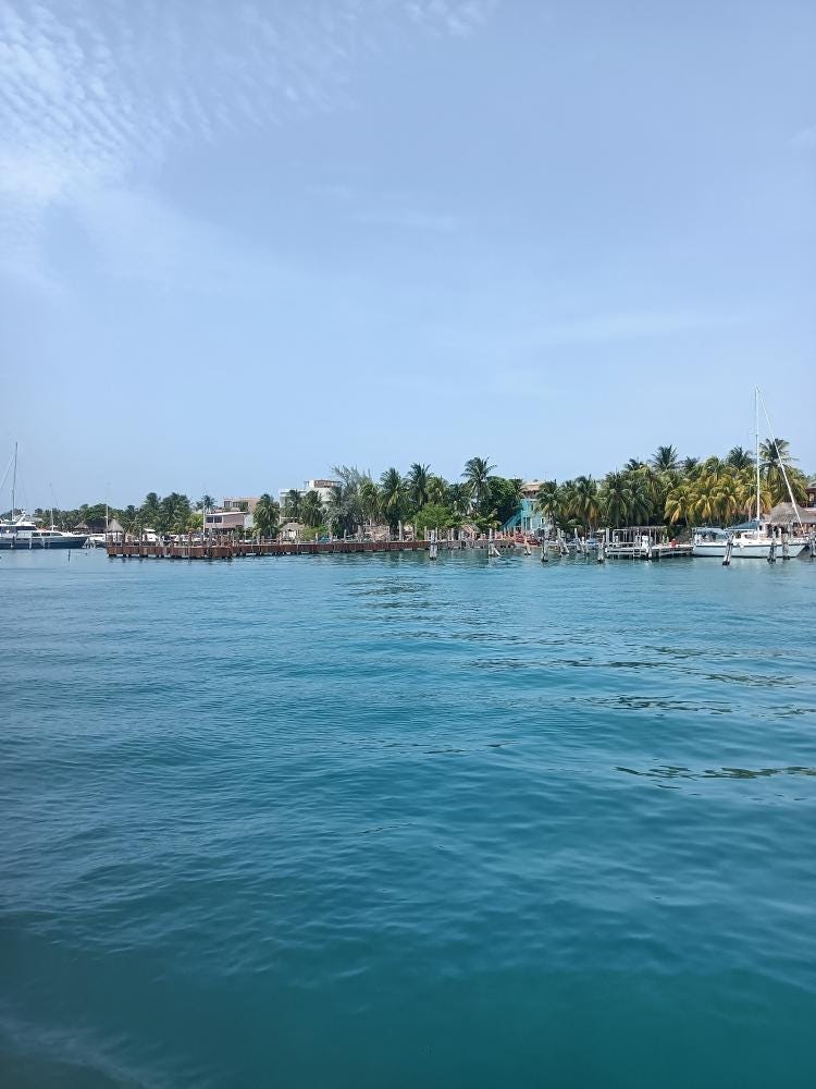 Foto 4 di 5