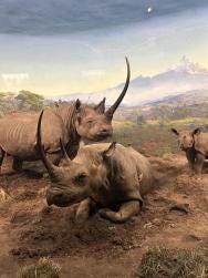 Foto {1} di {2}