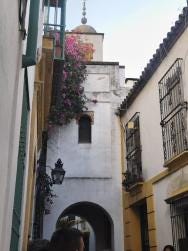 Foto 1 de 1