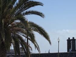 Foto 2 de 2