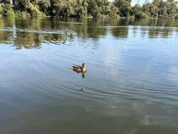 Foto 2 de 2