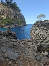 Foto 1 de 1