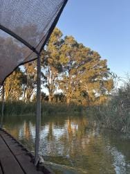 Foto {1} di {2}