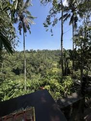 Foto 3 de 3