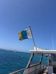 Foto 1 de 6
