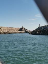 Foto 5 de 5