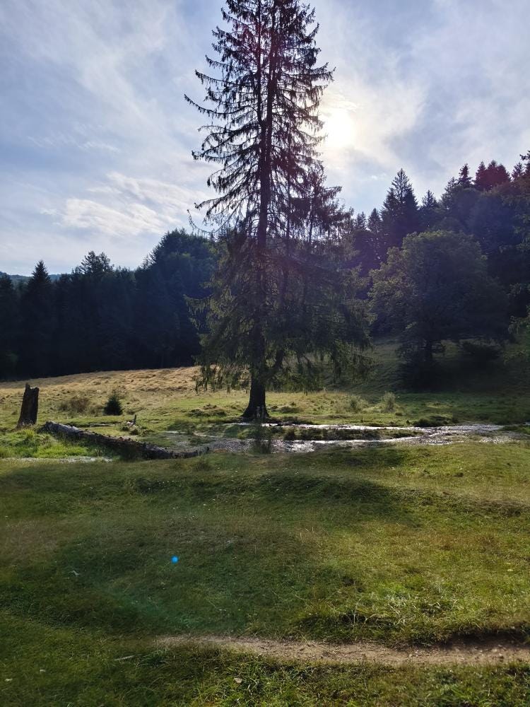 Foto 1 de 5
