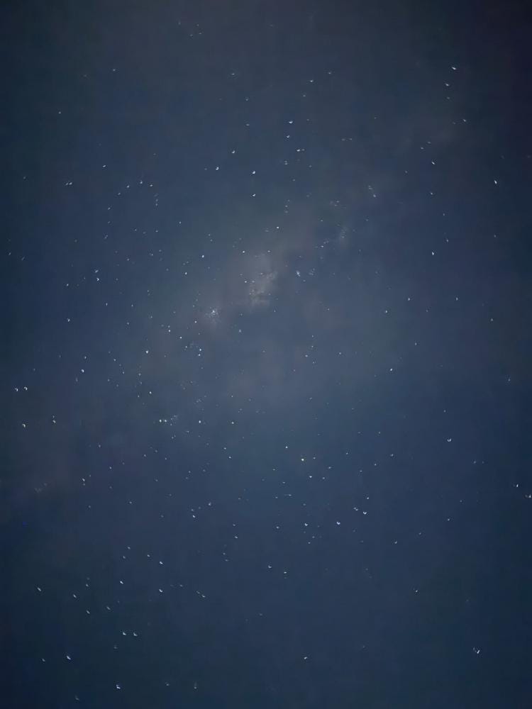 Foto 5 di 7
