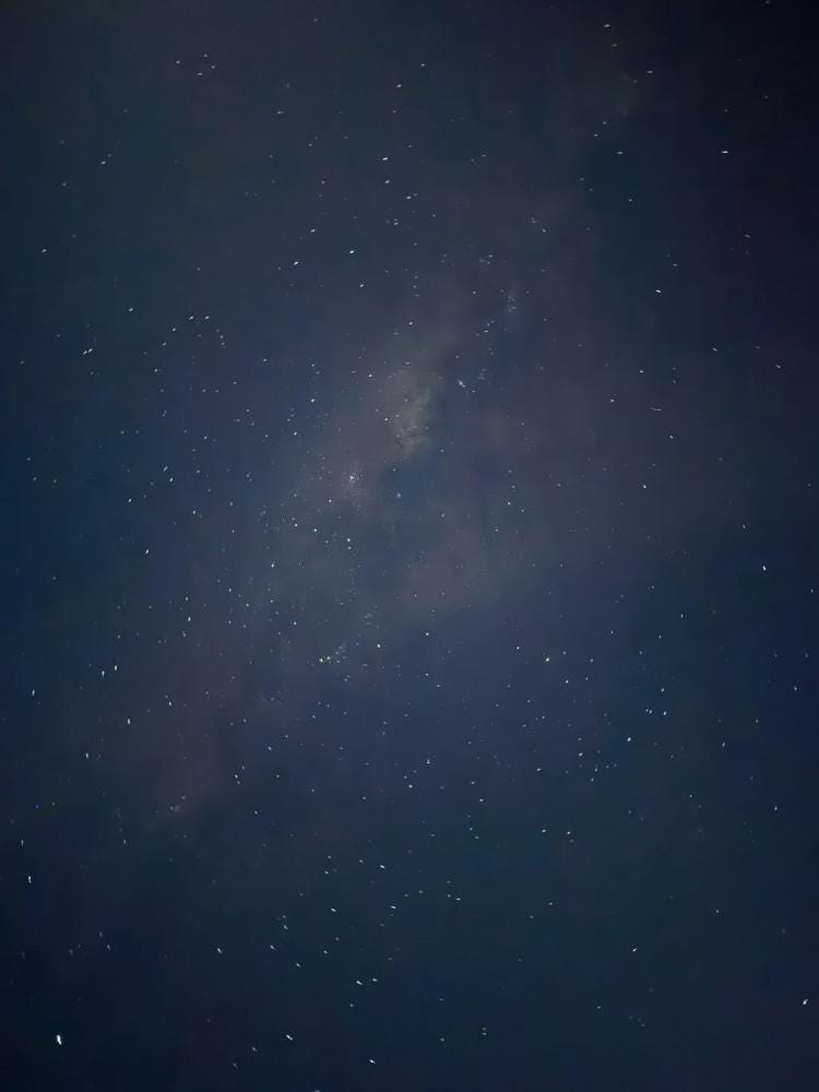 Foto 7 di 7