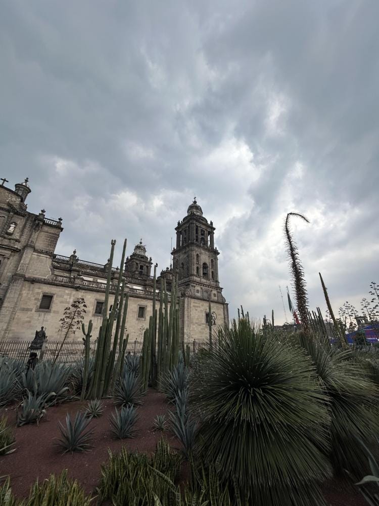 Foto 4 de 6