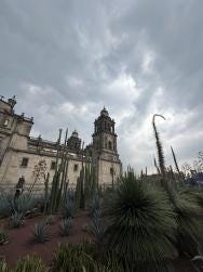 Foto 4 de 6
