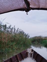 Foto 1 de 5