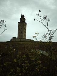 Foto 1 de 1