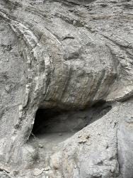 Foto 2 de 2