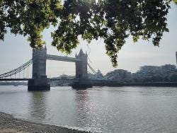 Foto 1 de 1