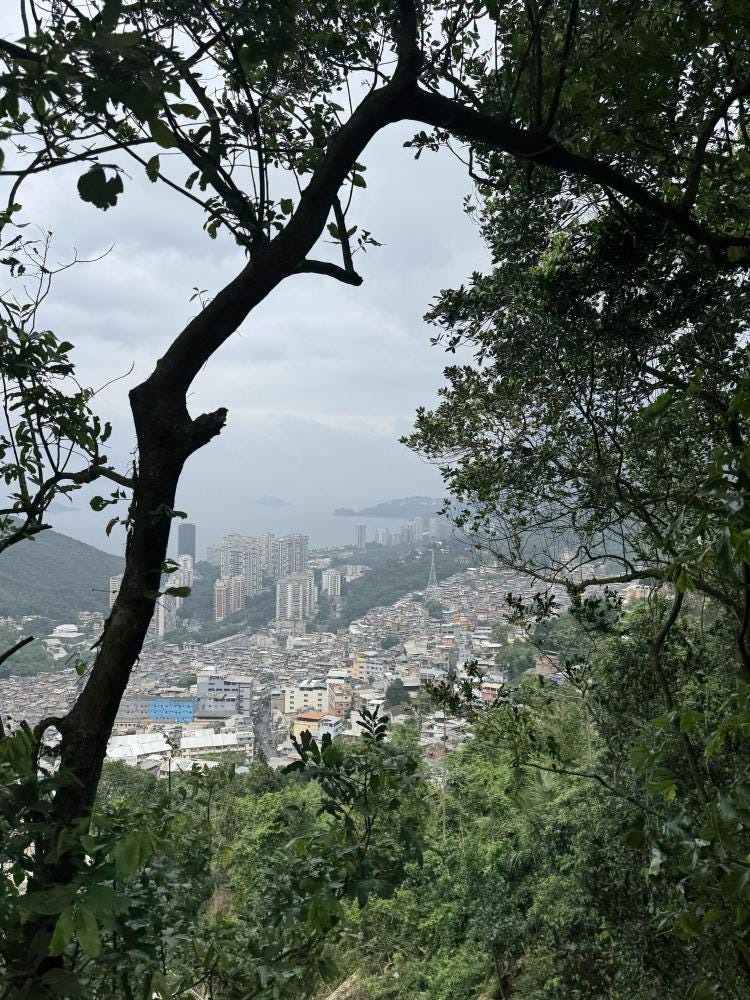 Foto 1 de 1