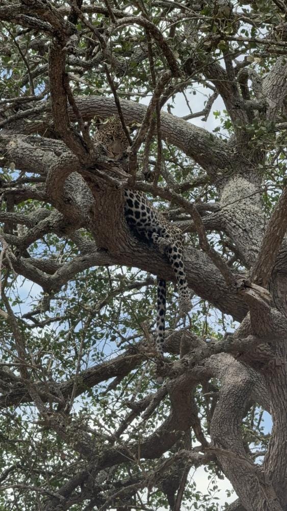 Foto 1 de 6