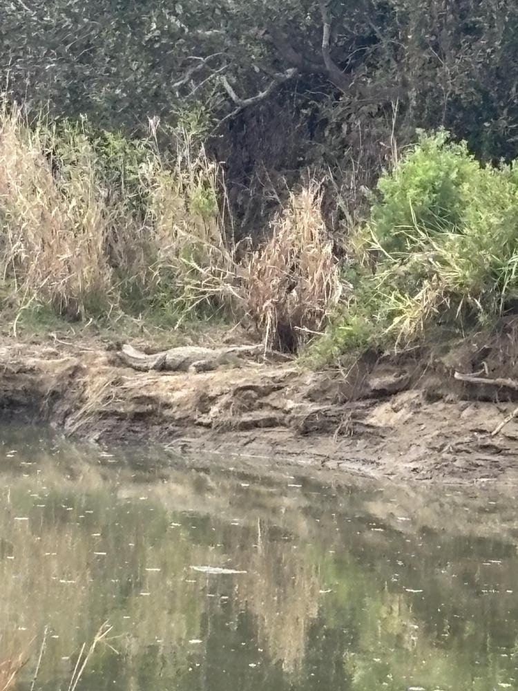 Foto 4 de 6
