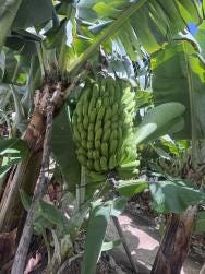 Foto 1 de 5