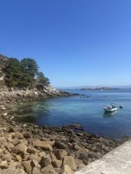 Foto 1 de 1