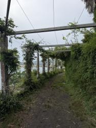 Foto {1} di {2}