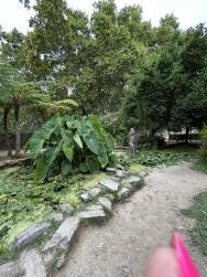Foto {1} di {2}