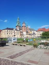 Foto 1 de 1