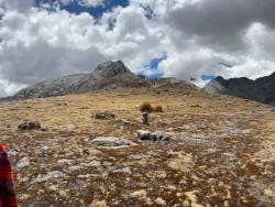 Foto 1 de 2