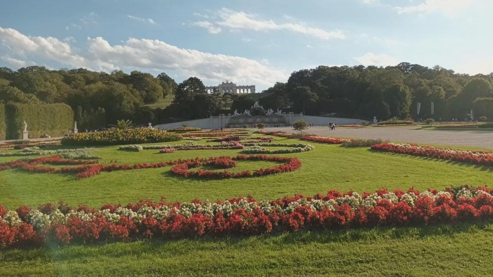 Foto 5 di 15