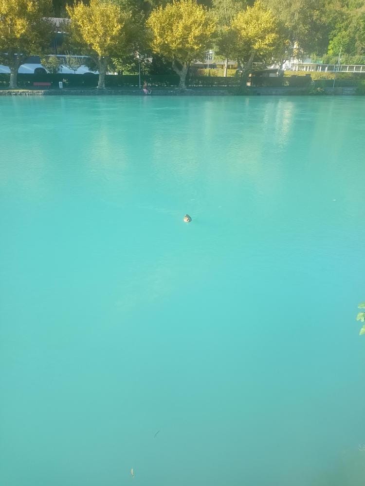 Foto 2 de 2