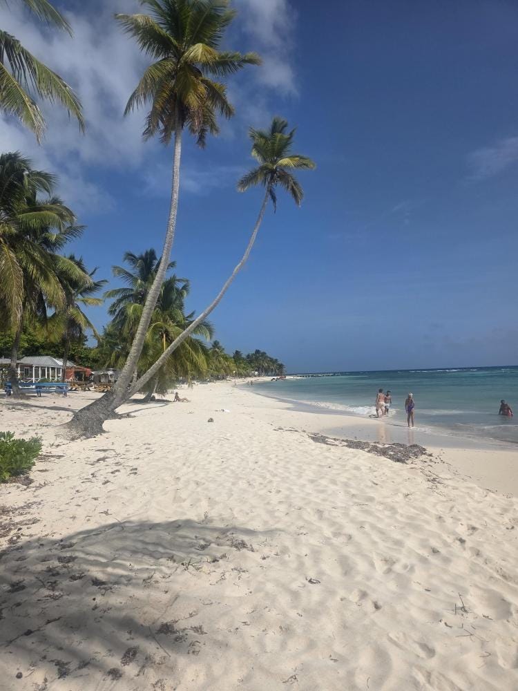 Foto 1 de 2