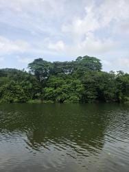 Foto 2 de 3