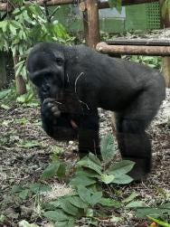 Foto 2 de 7