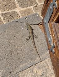 Foto 2 de 5