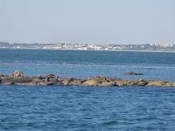 Foto {1} di {2}