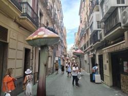 Foto 3 de 3